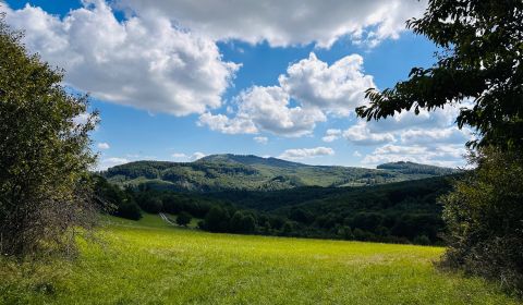 Prodej Zemědělské a lesní, Zemědělské a lesní, Medzilaborce, Slovensko