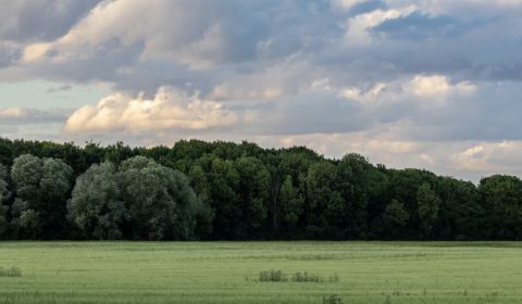 Prodej Zemědělské a lesní, Zemědělské a lesní, Medzilaborce, Slovensko