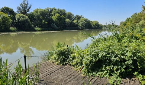 Prodej Pozemky - bydlení, Pozemky - bydlení, Senec, Slovensko
