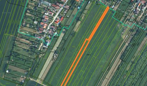 Prodej Zemědělské a lesní, Zemědělské a lesní, Pezinok, Slovensko