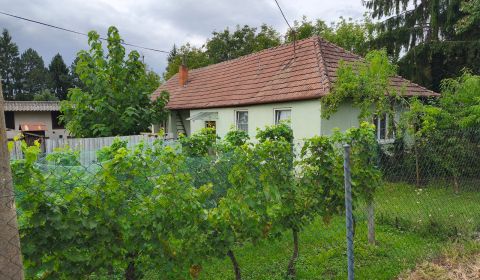 Prodej Rodinný dům, Rodinný dům, Topoľčany, Slovensko
