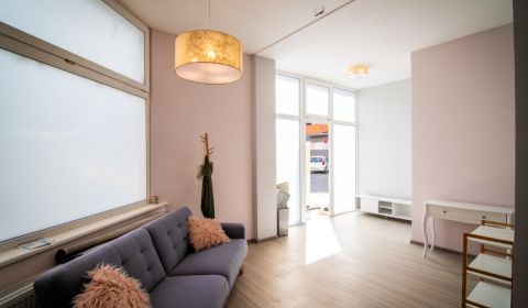 Pronájem Prostory pro obchod, Prostory pro obchod, Na hlinách, Trnava,