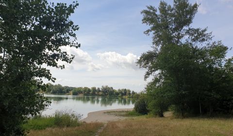 Prodej Zemědělské a lesní, Zemědělské a lesní, Hviezdoslavova, Senec, 