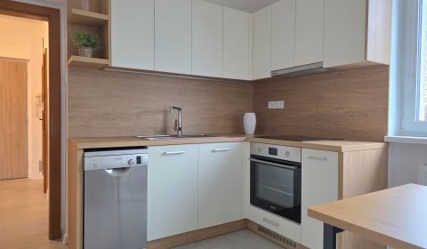 PRONÁJEM - Prostorný 3 + kk - Nitra, Centrum
