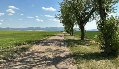 Prodej Zemědělské a lesní, Zemědělské a lesní, Topoľčany, Slovensko