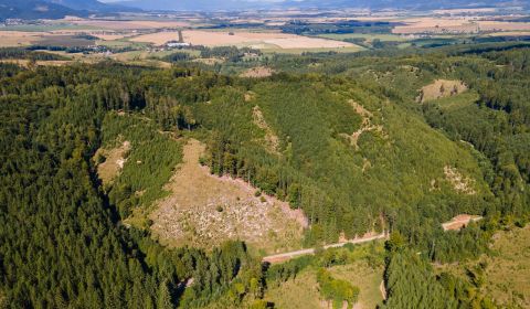 Prodej Zemědělské a lesní, Zemědělské a lesní, Turčianske Teplice, Slo