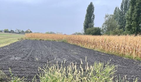 Prodej Pozemky - bydlení, Pozemky - bydlení, Dunajská Streda, Slovensk