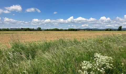 Prodej Pozemky - bydlení, Pozemky - bydlení, Topoľčany, Slovensko