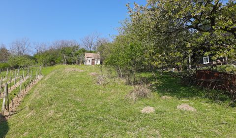 Prodej Pozemky - rekreace, Pozemky - rekreace, Malacky, Slovensko
