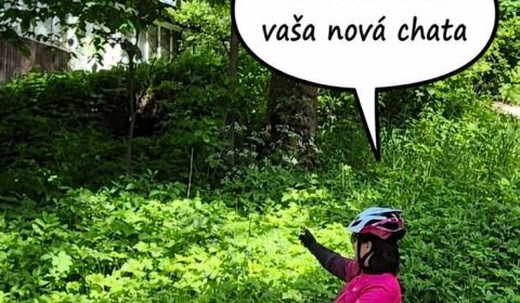 Prodej Pozemky - bydlení, Pozemky - bydlení, Žilina, Slovensko