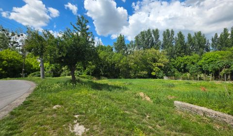 Prodej Pozemky - bydlení, Pozemky - bydlení, Mlynská, Galanta, Slovens