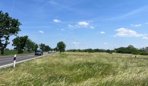 Prodej Zemědělské a lesní, Zemědělské a lesní, Senec, Slovensko