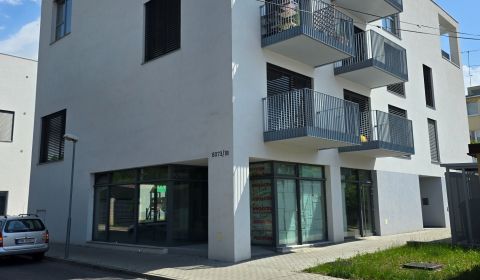 Pronájem Byt 3+1, Byt 3+1, Mojmírova, Piešťany, Slovensko