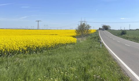 Prodej Zemědělské a lesní, Zemědělské a lesní, Trnava, Slovensko