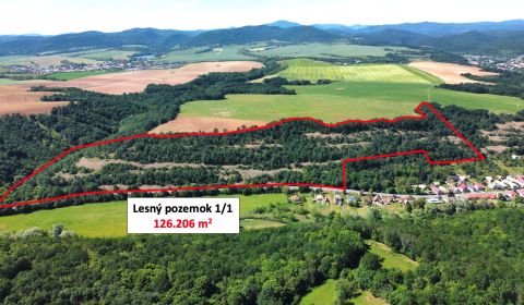 Prodej Zemědělské a lesní, Zemědělské a lesní, Krupina, Slovensko