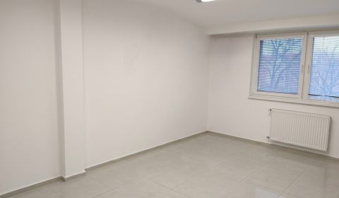 Pronájem Kancelářské prostory, Kancelářské prostory, Hospodárska, Trna