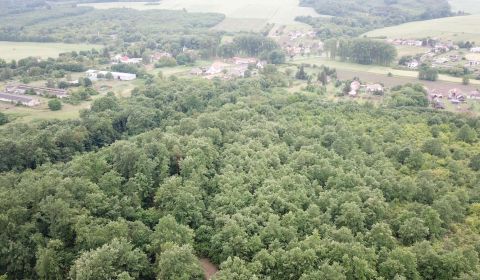 Prodej Zemědělské a lesní, Zemědělské a lesní, Veľký Krtíš, Slovensko