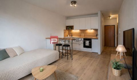 Pronájem Rekreační apartmán, Rekreační apartmán, Kaštielská, Bratislav