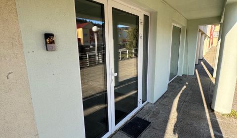 Pronájem Prostory pro obchod, Prostory pro obchod, Moyzesova, Považská