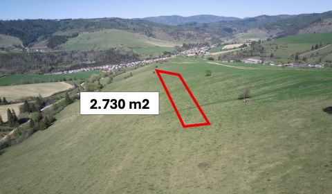 Prodej Zemědělské a lesní, Zemědělské a lesní, Brezno, Slovensko