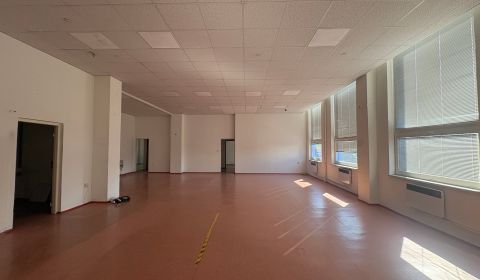 Pronájem Prostory pro obchod, Prostory pro obchod, Hattalova, Bratisla