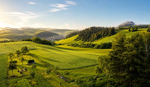 Prodej Pozemky - bydlení, Pozemky - bydlení, Záborie, Martin, Slovensk