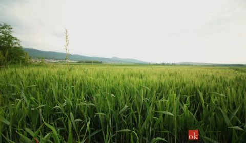 Prodej Pozemky - bydlení, Nitra, Slovensko