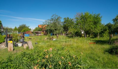 Prodej Zahrady, Zahrady, Senec, Slovensko