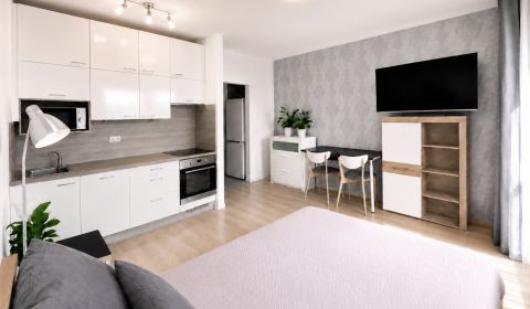 Prodej Garsoniéra, Garsoniéra, Krásnohorská, Bratislava - Petržalka, S