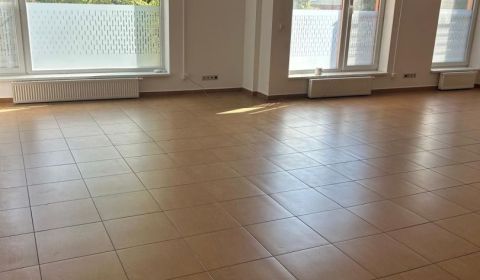 Pronájem Kancelářské prostory, Kancelářské prostory, Lichnerova, Senec