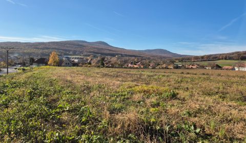 Prodej Pozemky - bydlení, Pozemky - bydlení, Zlaté Moravce, Slovensko