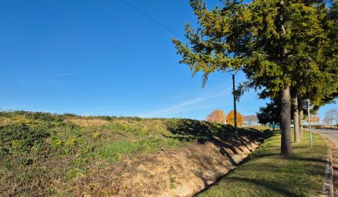 Prodej Pozemky - bydlení, Pozemky - bydlení, Zlaté Moravce, Slovensko