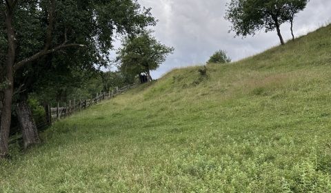 Prodej Zemědělské a lesní, Zemědělské a lesní, Kysucké Nové Mesto, Slo
