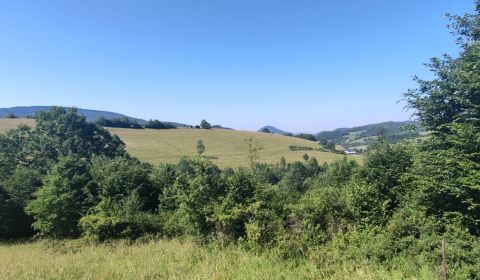 Prodej Zemědělské a lesní, Zemědělské a lesní, Kysucké Nové Mesto, Slo