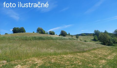 Prodej Pozemky - bydlení, Pozemky - bydlení, Detva, Slovensko