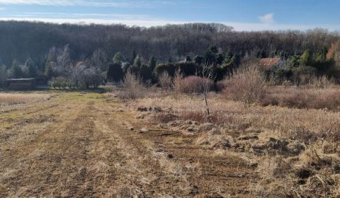 Prodej Pozemky - bydlení, Pozemky - bydlení, Pod brezami, Nitra, Slove