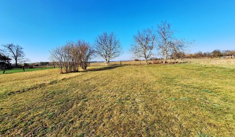 Prodej Zahrady, Zahrady, Lúčnica nad Žitavou, Nitra, Slovensko
