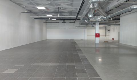 Pronájem Prostory pro obchod, Prostory pro obchod, Ivanská cesta, Brat