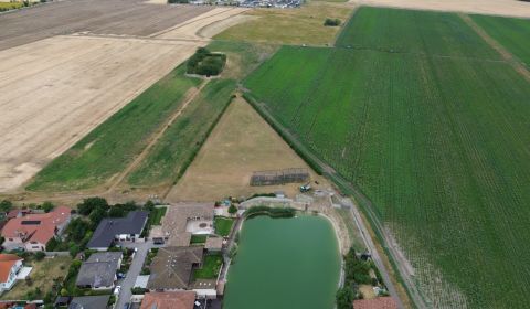 Prodej Pozemky - bydlení, Pozemky - bydlení, Senec, Slovensko