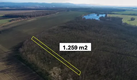 Prodej Zemědělské a lesní, Malacky, Slovensko