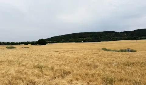 Prodej Zemědělské a lesní, Malacky, Slovensko