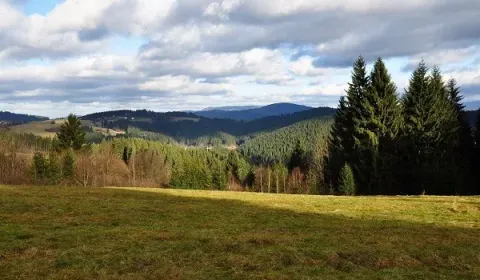 Prodej Zemědělské a lesní, Čadca, Slovensko