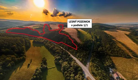 Prodej Zemědělské a lesní, Prešov, Slovensko