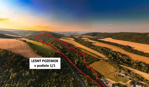 Prodej Zemědělské a lesní, Prešov, Slovensko