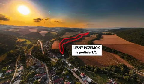 Prodej Zemědělské a lesní, Prešov, Slovensko