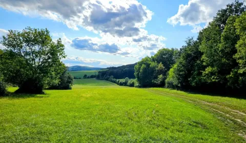 Prodej Zemědělské a lesní, Michalovce, Slovensko
