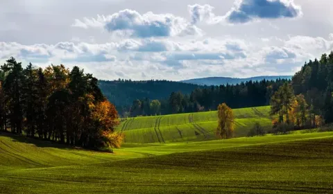 Prodej Zemědělské a lesní, Michalovce, Slovensko