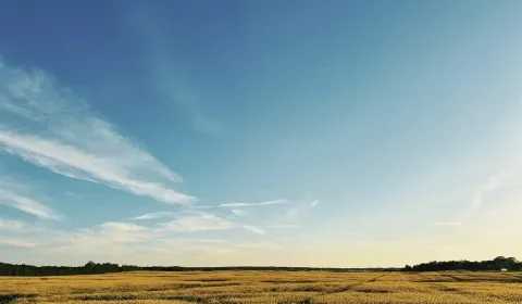 Prodej Zemědělské a lesní, Pezinok, Slovensko