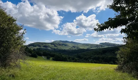 Prodej Zemědělské a lesní, Medzilaborce, Slovensko