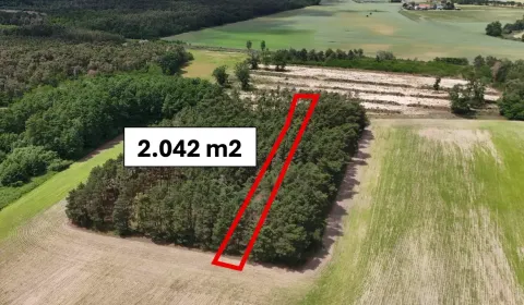 Prodej Zemědělské a lesní, Malacky, Slovensko